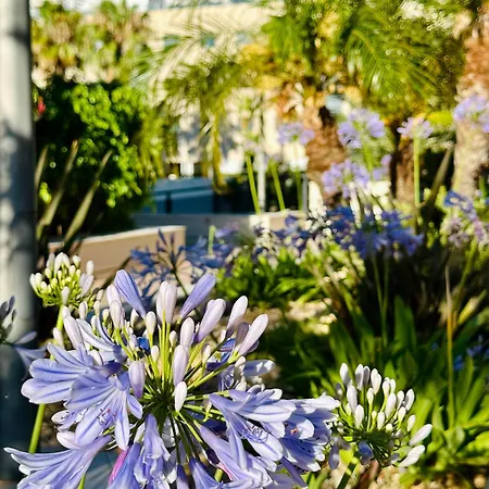 Jardines De 24 شقة دينايا
