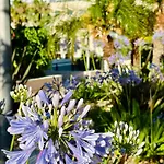 Jardines De 24 Apartman Denia