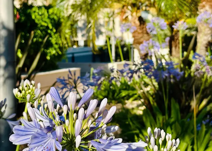 Jardines De 24 Apartament Denia