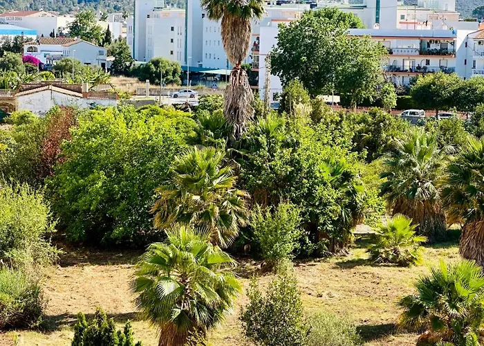 Jardines De 24